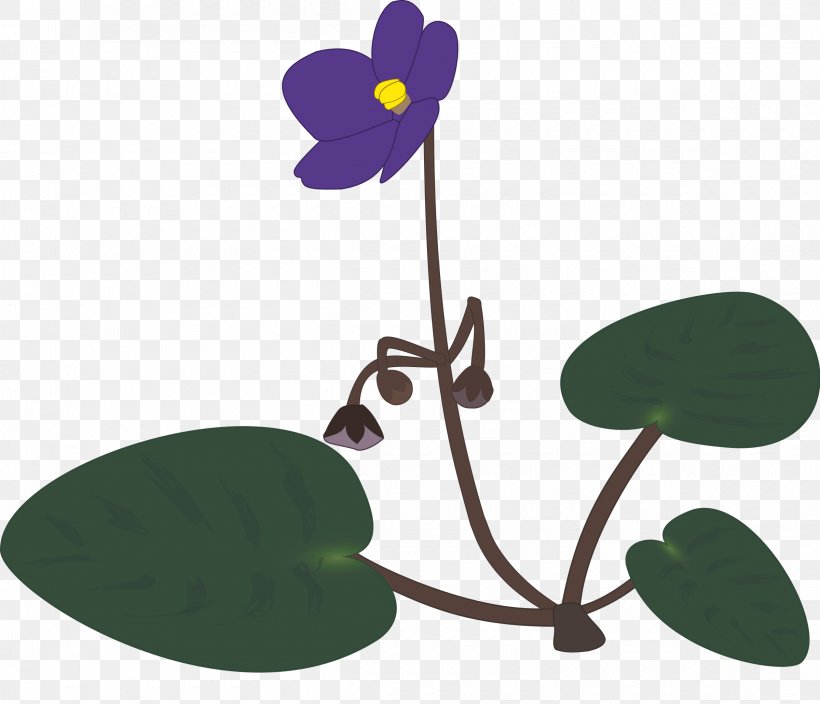 African Violets Clip Art, PNG, 2400x2062px, African Violets, Animation, Drawing, Flora, Flower Download Free