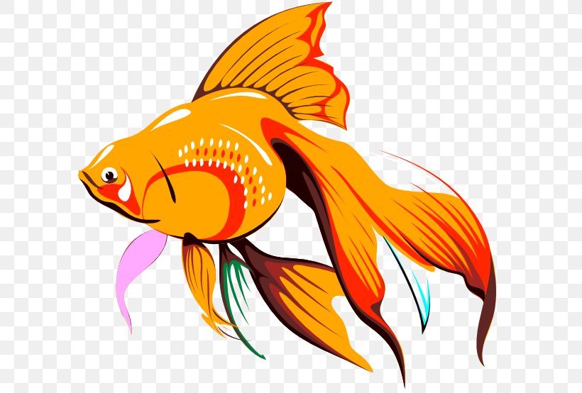 Goldfish Drawing Clip Art, PNG, 600x554px, Goldfish, Bony Fish, Drawing, Fish, Orange Download Free