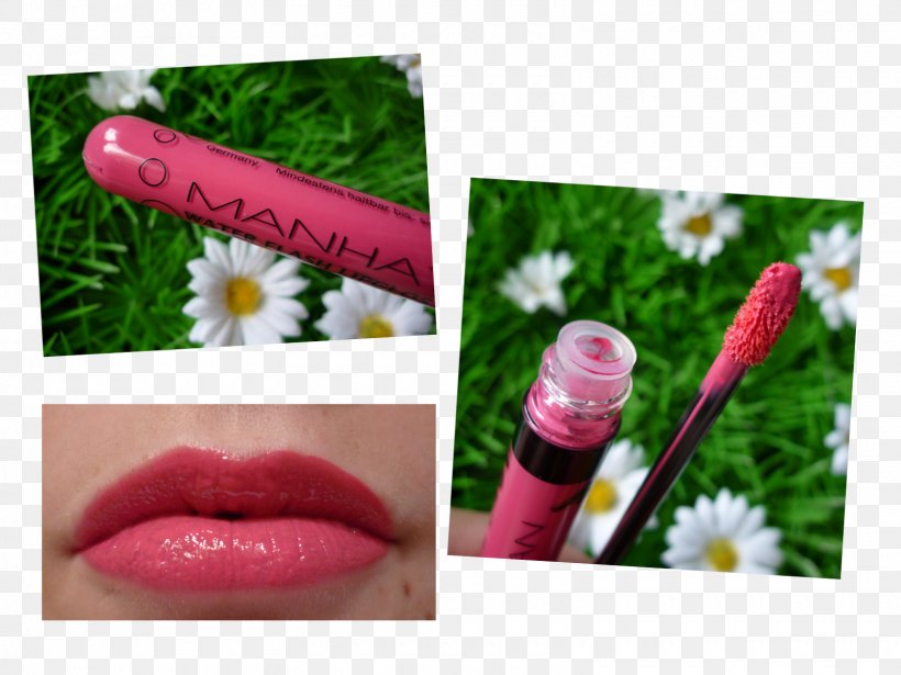 Lipstick Lip Gloss, PNG, 1600x1200px, Lipstick, Cosmetics, Lip, Lip Gloss, Petal Download Free