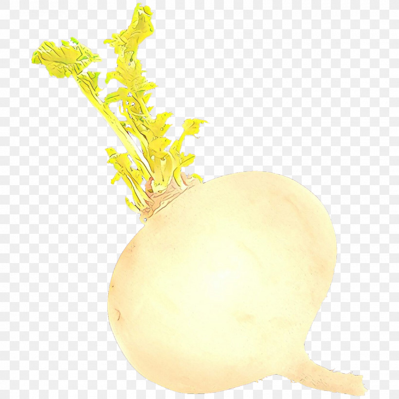 Turnip Root Vegetable Vegetable Yellow Rutabaga, PNG, 1600x1600px, Turnip, Daikon, Food, Plant, Radish Download Free