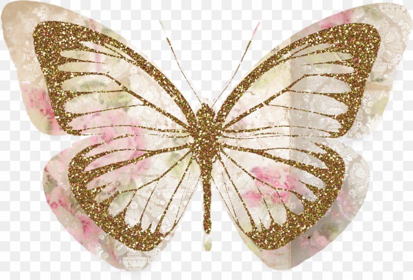 Butterfly Desktop Wallpaper Papillon Dog Stock Photography Clip Art, PNG, 1280x871px, Butterfly, Arthropod, Blue, Brush Footed Butterfly, Butterflies And Moths Download Free