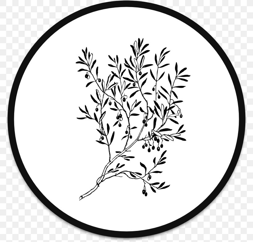 Olive Branch Clip Art, PNG, 786x786px, Olive Branch, Area, Art, Black And White, Branch Download Free