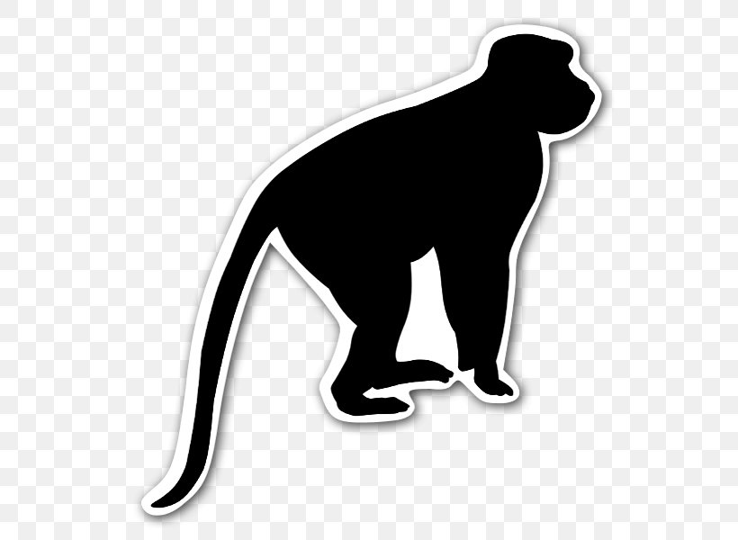 Primate Chimpanzee Monkey Ape Silhouette, PNG, 563x600px, Primate, Ape, Black, Black And White, Blackandwhite Colobuses Download Free