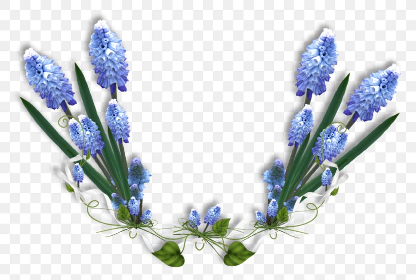 Blue Paint.net Flower, PNG, 800x551px, Blue, Color, English Lavender, Flower, Flowering Plant Download Free
