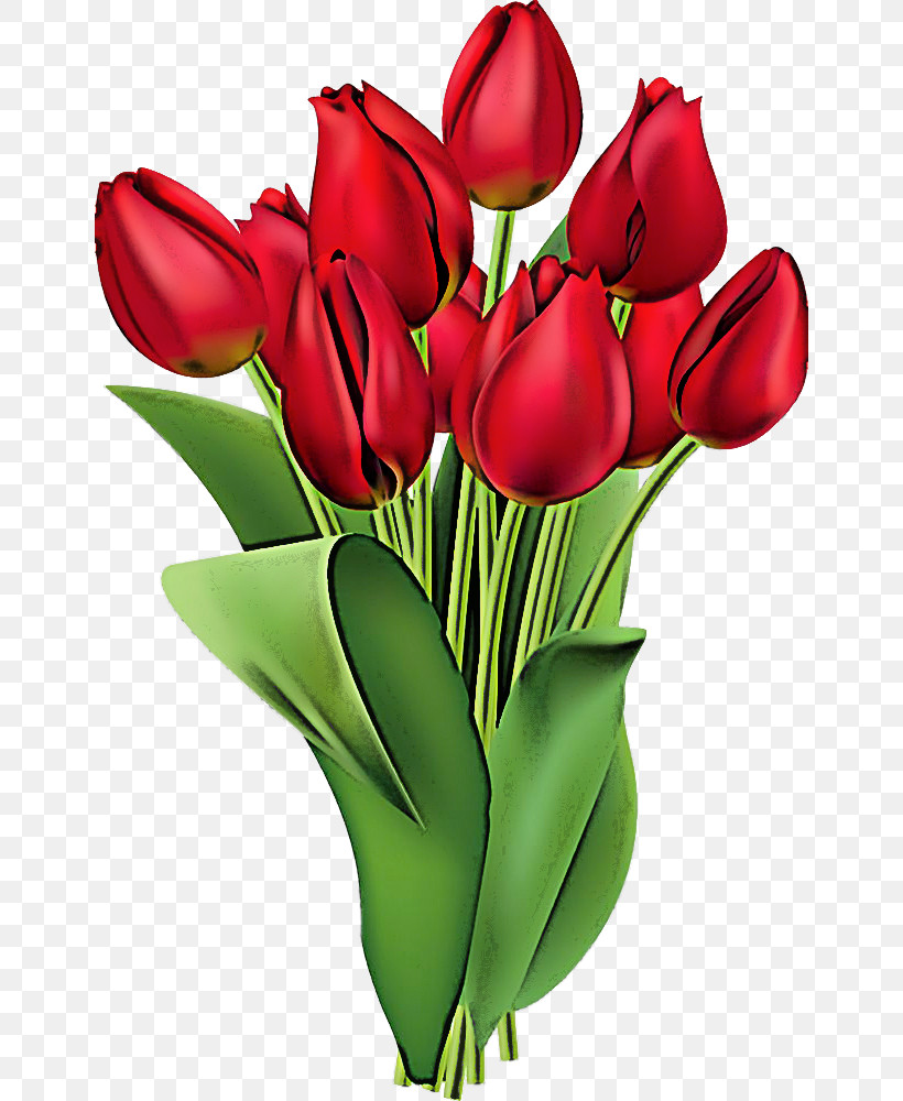 Flower Cut Flowers Red Tulip Petal, PNG, 648x1000px, Flower, Bouquet, Bud, Cut Flowers, Lily Family Download Free