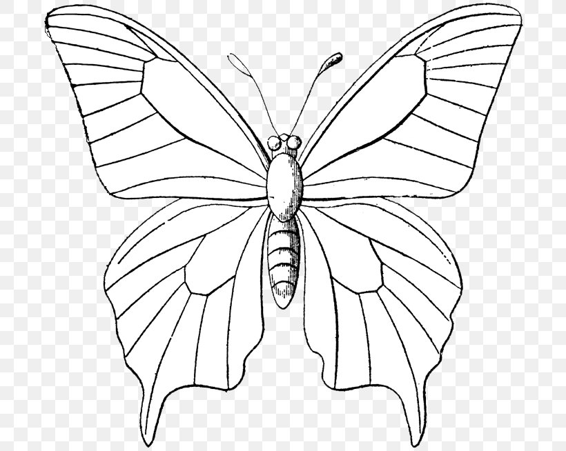 Monarch Butterfly Outline Drawing Clip Art, PNG, 700x654px, Butterfly, Animal, Area, Artwork, Black And White Download Free