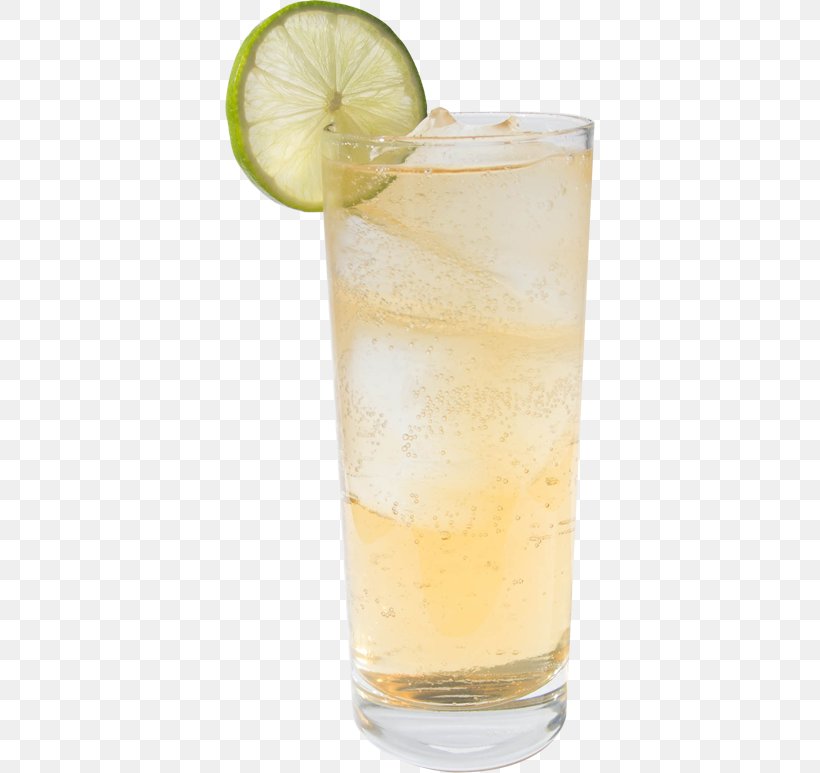 Rickey Gin And Tonic Dark 'N' Stormy Highball Sea Breeze, PNG, 370x773px, Rickey, Cocktail, Cocktail Garnish, Dark N Stormy, Drink Download Free