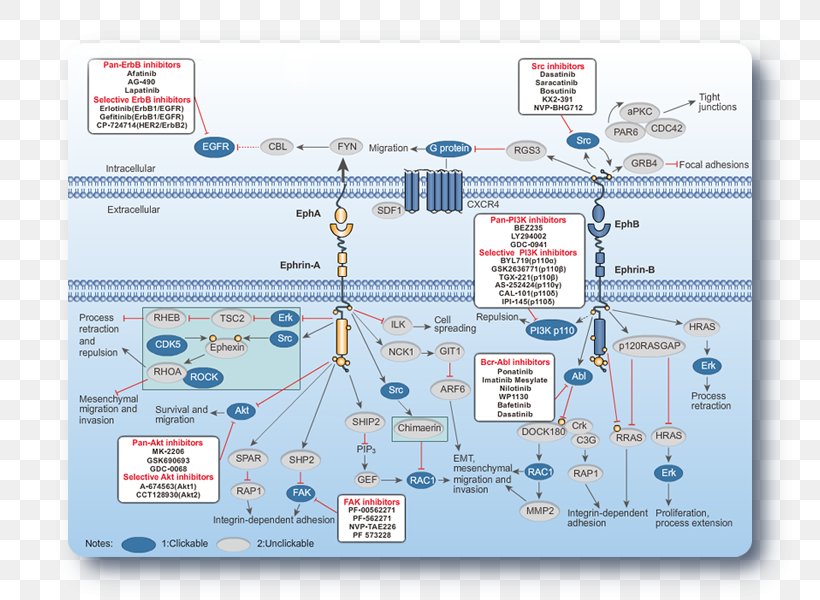 Engineering Technology Service, PNG, 800x600px, Engineering, Area, Diagram, Organization, Service Download Free