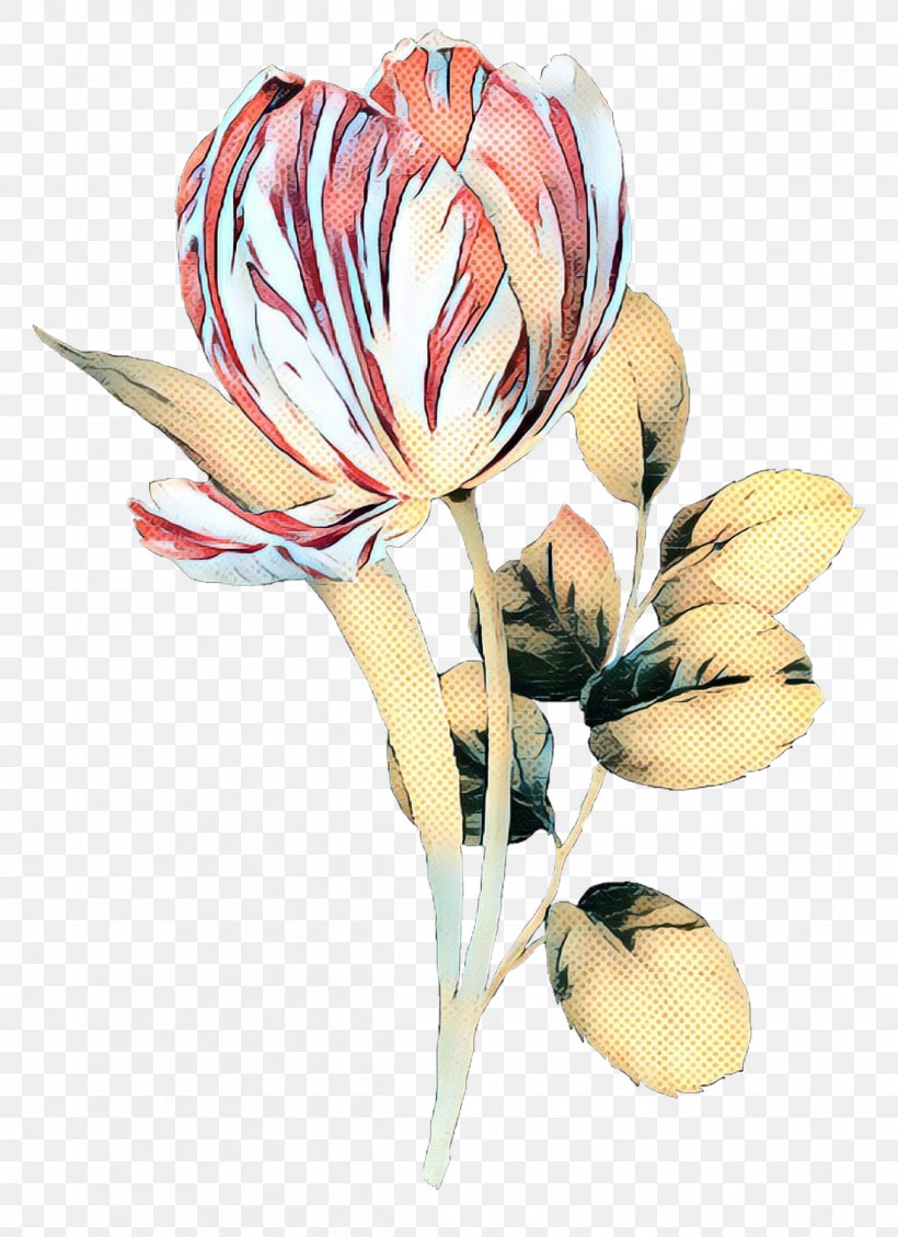 Lily Flower Cartoon, PNG, 1162x1600px, Tulip, Bud, Cut Flowers, Flower, Flower Bouquet Download Free