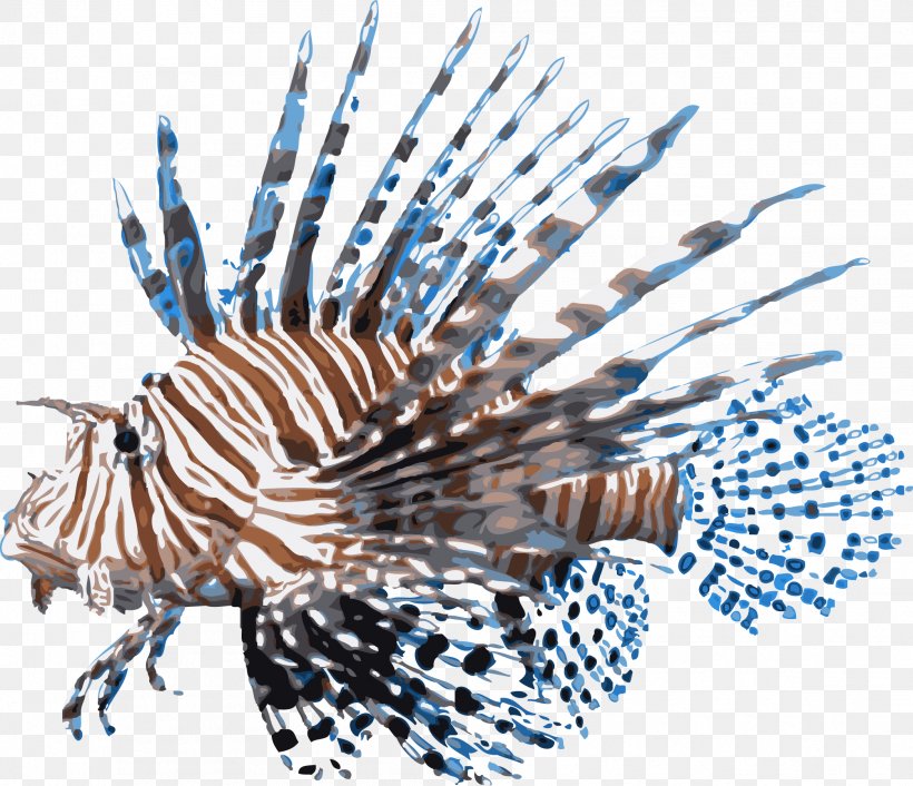 Red Lionfish Desktop Wallpaper Scorpionfish, PNG, 2007x1728px, Red Lionfish, Animal, Biogeochemical Cycle, Biology, Fish Download Free