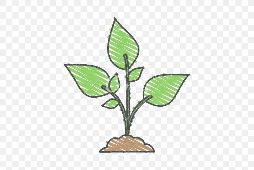 Leaf Flower Plant Houseplant Flowerpot, PNG, 550x550px, Leaf, Flower, Flowering Plant, Flowerpot, Houseplant Download Free
