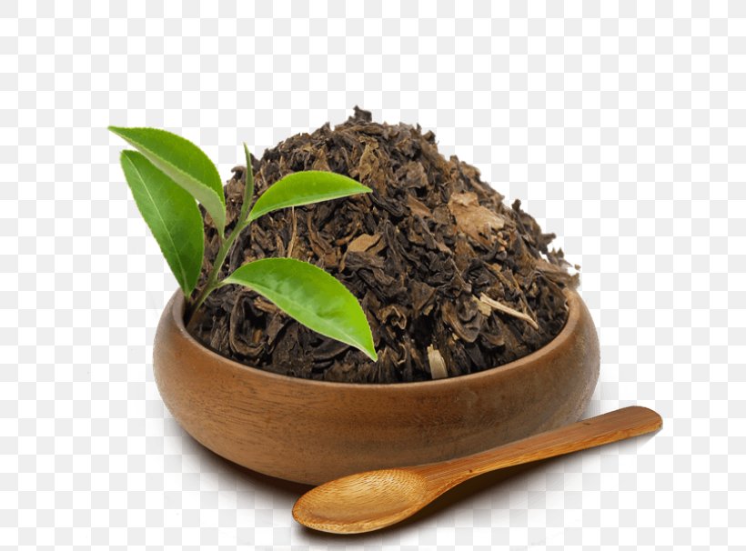 Oolong Nilgiri Tea Romeritos Black Tea, PNG, 700x606px, Oolong, Black Tea, Da Hong Pao, Dianhong, Earl Grey Tea Download Free