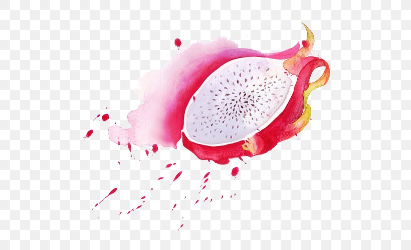 Pitaya Design Image Adobe Photoshop, PNG, 500x500px, Pitaya, Color, Designer, Flower, Image Resolution Download Free