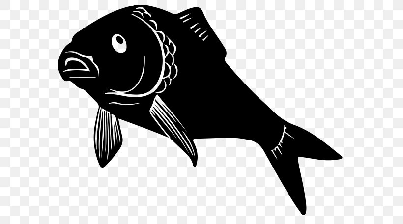 Common Carp Carp Fishing, PNG, 601x456px, Common Carp, Beak, Black, Black And White, Boilie Download Free