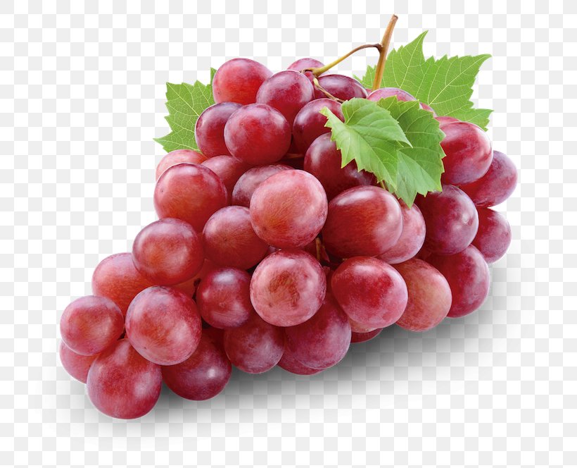 Common Grape Vine Red Wine Red Globe, PNG, 728x664px, Common Grape Vine, Berry, Cranberry, Flame Seedless, Food Download Free