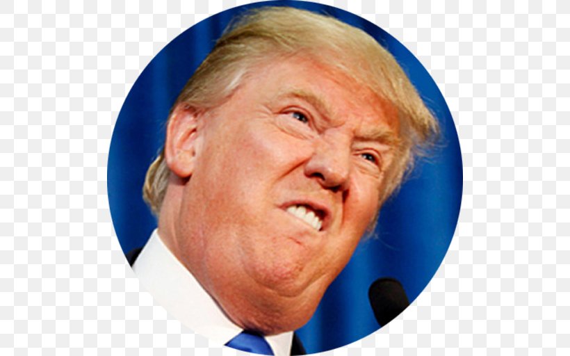 Donald Trump Trump Tower President Of The United States Republican Party Crippled America, PNG, 512x512px, Donald Trump, Cheek, Chin, Close Up, Crippled America Download Free
