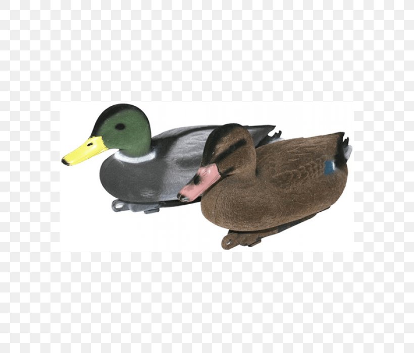 Mallard Duck Decoy Bird, PNG, 700x700px, Mallard, Beak, Bird, Decoy, Duck Download Free