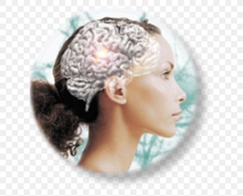 Neuromarketing Neuroscience Functional Magnetic Resonance Imaging Brain, PNG, 662x663px, Neuromarketing, Brain, Consumerism, Forehead, Hair Accessory Download Free