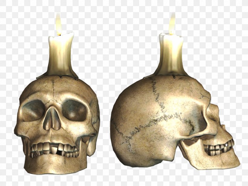 Skull Skeleton Download, PNG, 1024x768px, Skull, Bone, Brass, Deviantart, Jaw Download Free