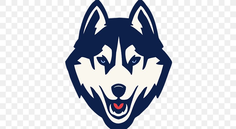 University Of Connecticut Connecticut Huskies Men's Basketball Connecticut Huskies Football Connecticut Huskies Women's Basketball East Coast Rugby Conference, PNG, 512x450px, University Of Connecticut, Carnivoran, Cartoon, College, Connecticut Huskies Download Free