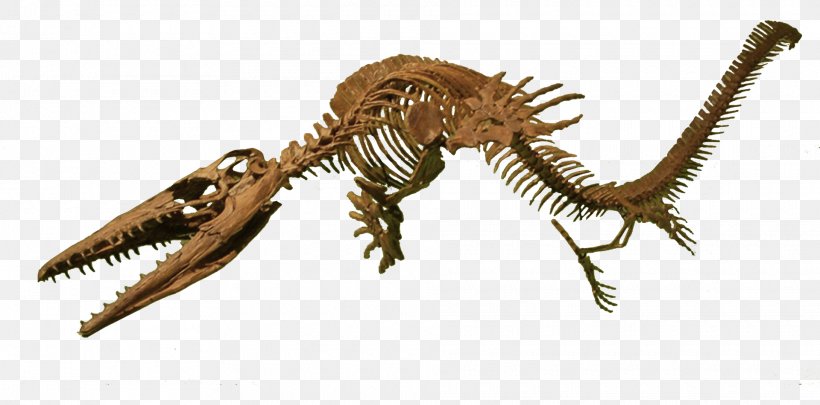 Velociraptor Clidastes Niobrara Formation Late Cretaceous Reptile, PNG, 1920x950px, Velociraptor, Animal Figure, Claw, Clidastes, Cretaceous Download Free