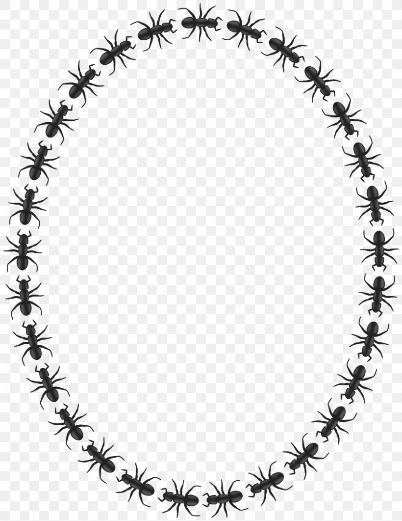 Ant Mill Insect Circle Clip Art, PNG, 850x1100px, Ant, Ant Colony, Ant Mill, Black, Black And White Download Free