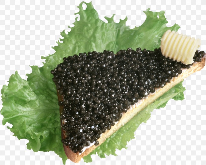 Beluga Caviar Butterbrot Pancake Roe, PNG, 1499x1203px, Caviar, Beluga Caviar, Bread, Butterbrot, Cooking Download Free