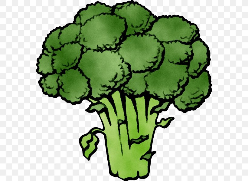 Broccoli Clip Art Cauliflower Vegetable, PNG, 582x598px, Broccoli, Broccoli Slaw, Brussels Sprouts, Cauliflower, Coleslaw Download Free