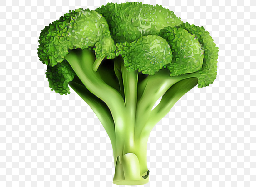 Cauliflower, PNG, 590x600px, Broccoli, Broccoflower, Cabbage, Cauliflower, Flower Download Free