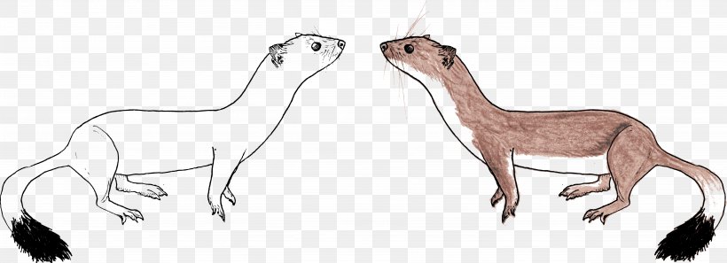 Drawing Stoat Mammal Sketch, PNG, 4102x1488px, Drawing, Animal Figure, Artwork, Camel Like Mammal, Carnivora Download Free