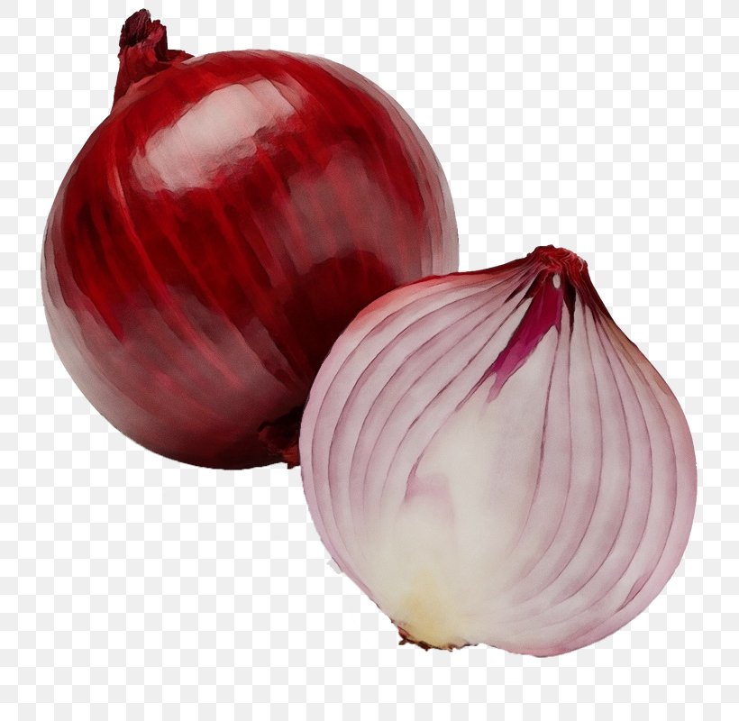 Red Onion Vegetable Onion Food Yellow Onion, PNG, 750x800px, Watercolor, Allium, Flowering Plant, Food, Onion Download Free