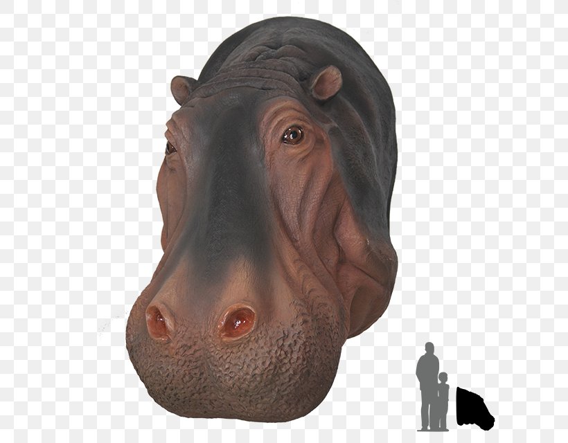 Hippopotamus Pig Rhinoceros Animal Dog, PNG, 640x640px, Hippopotamus, Animal, Dog, Garden, Head Download Free