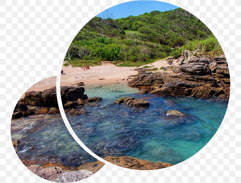 Praia Da Foca Arraial Do Cabo Beach Ilha Grande Lagos Microregion, PNG, 750x622px, Arraial Do Cabo, Beach, Coastal And Oceanic Landforms, Ilha Grande, Inlet Download Free
