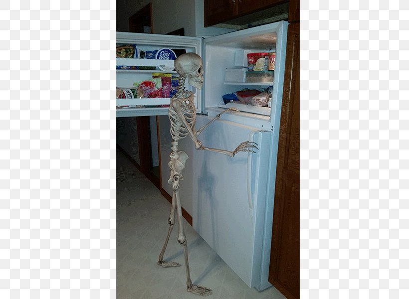 Shelf Closet Refrigerator Angle Skeleton, PNG, 600x600px, Shelf, Closet, Furniture, Halloween, Home Sweet Home Download Free