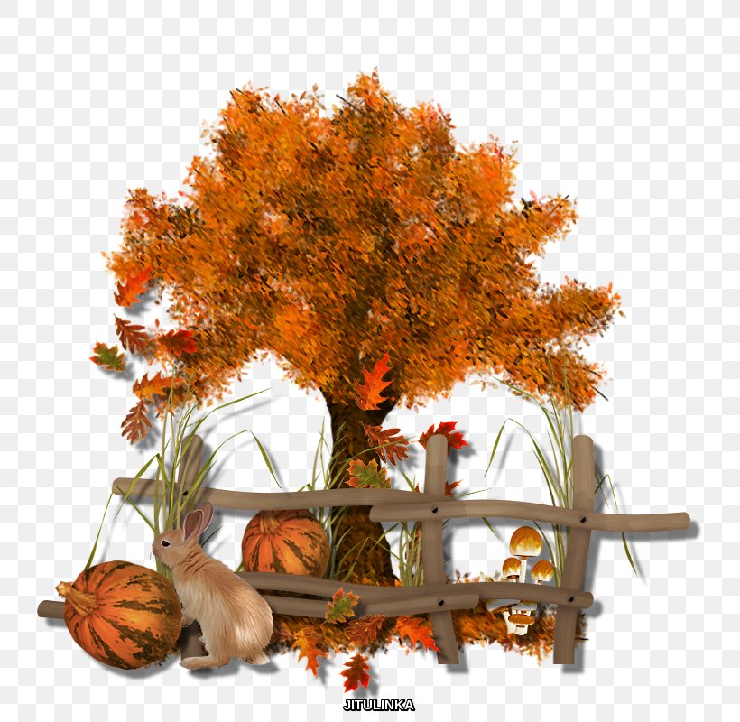 Autumn Twig Tree Clip Art, PNG, 800x800px, Autumn, Branch, Deciduous, Floral Design, Leaf Download Free