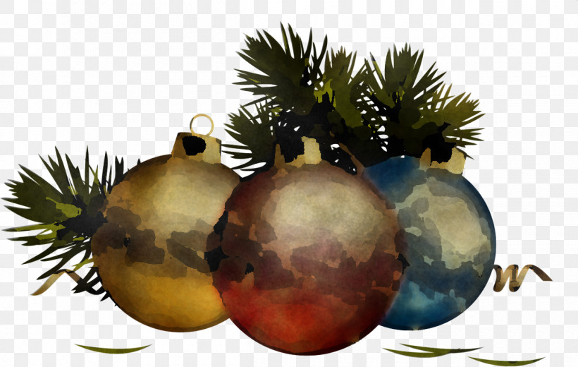 Christmas Ornament, PNG, 1200x762px, Tree, Arecales, Attalea Speciosa, Christmas, Christmas Decoration Download Free