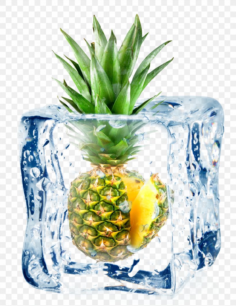 Cocktail Juice Fruit Ice Cube, PNG, 2158x2796px, Cocktail, Ananas, Bromeliaceae, Dish, Flavor Download Free