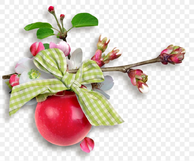 Lingonberry, PNG, 800x681px, Lingonberry, Berry, Flower, Food, Fruit Download Free