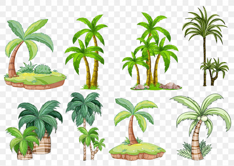 Palm Tree, PNG, 1000x709px, Houseplant, Arecales, Elaeis, Flower, Flowerpot Download Free