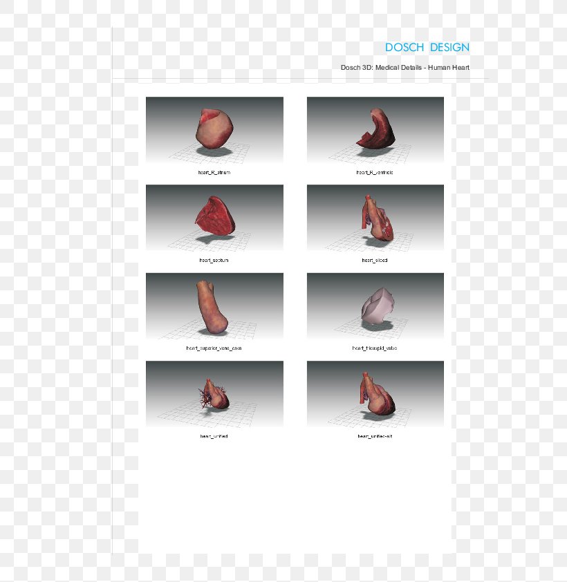 Shoe Brand, PNG, 595x842px, Shoe, Brand Download Free