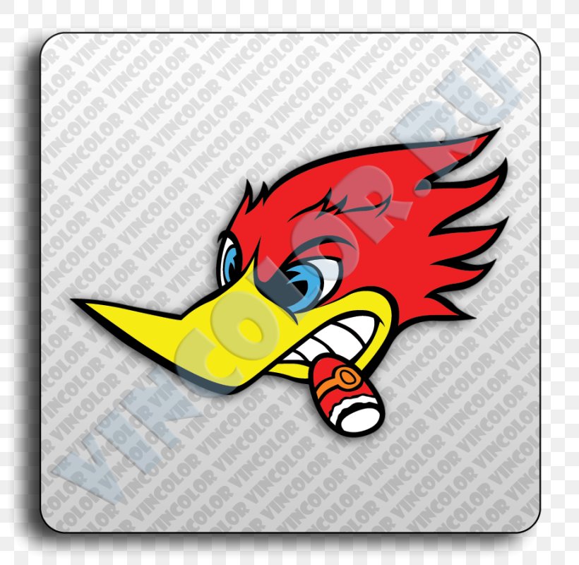Woody Woodpecker Racing Cartoon, PNG, 800x800px, Woody Woodpecker, Cartoon, Drawing, Fictional Character, Logo Download Free