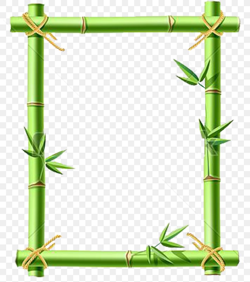 Bamboo Stock Photography Clip Art, PNG, 800x923px, Bamboo, Art, Can Stock Photo, Grass, Grass Family Download Free