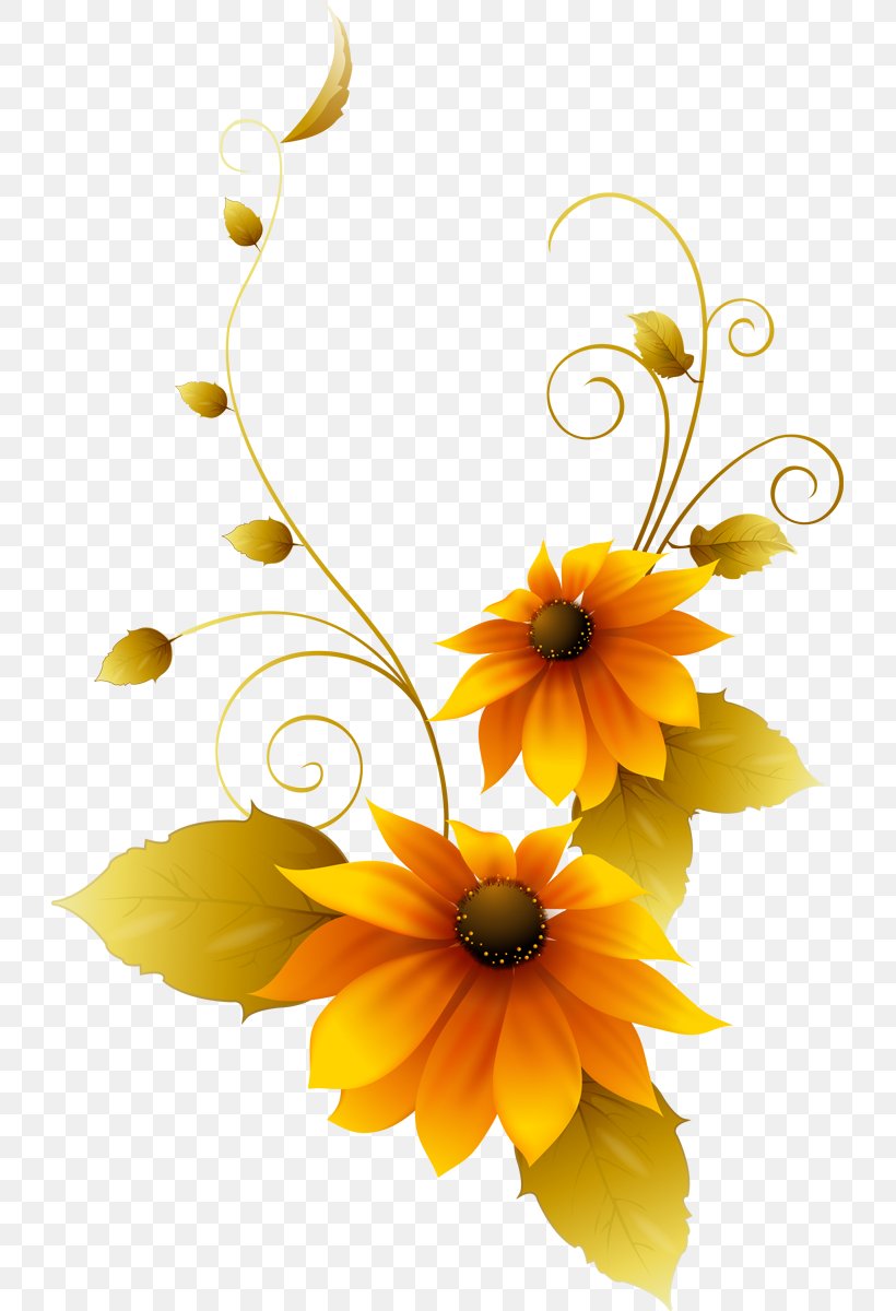 Brush Paper Flower, PNG, 725x1200px, Brush, Cut Flowers, Daisy, Daisy Family, Drawing Download Free