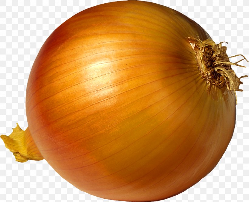 Chicken Tikka Masala French Onion Soup Blooming Onion Yellow Onion, PNG, 1029x838px, Chicken Tikka Masala, Allium, Amaryllis Family, Blooming Onion, Flowering Plant Download Free