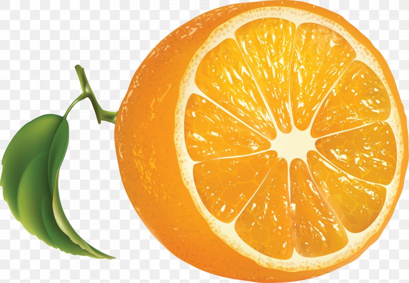 Juice Orange Lemon Clip Art, PNG, 2811x1944px, Orange Juice, Bitter Orange, Citric Acid, Citrus, Clementine Download Free