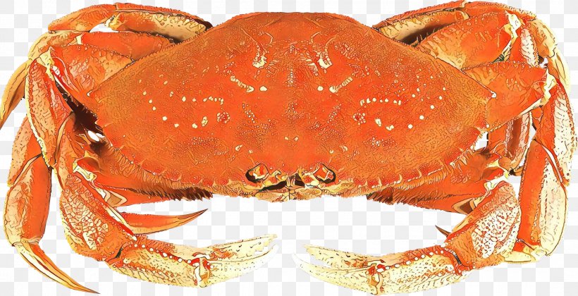 Crab Rock Crab Freshwater Crab Cancridae Dungeness Crab, PNG, 2163x1108px, Crab, Cancridae, Decapoda, Dungeness Crab, Food Download Free