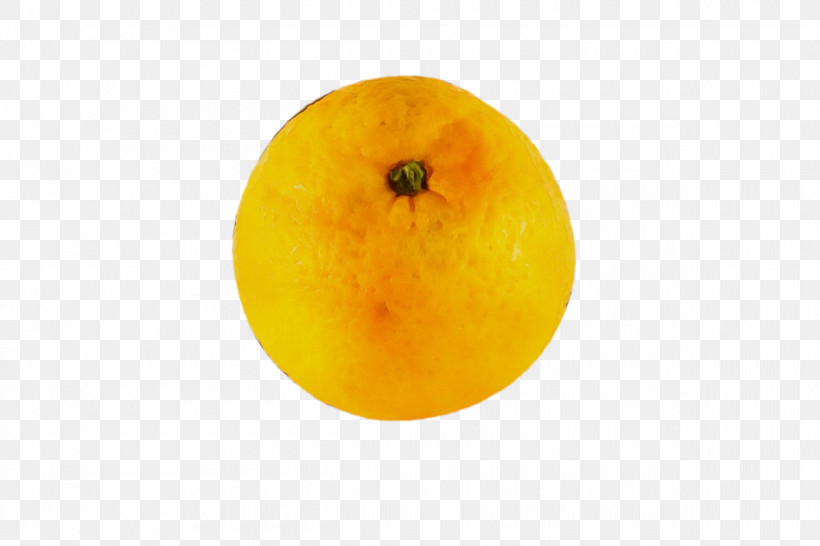 Orange, PNG, 1200x800px, Watercolor, Citrus, Fruit, Grapefruit, Lemon Download Free