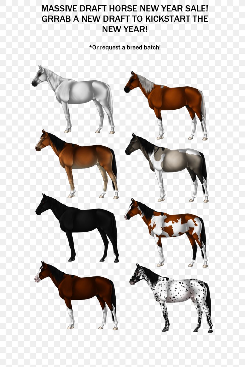 Cette Nuit Mustang Sodis Book Foal, PNG, 650x1228px, Mustang, Book, Bridle, Colt, Description Download Free