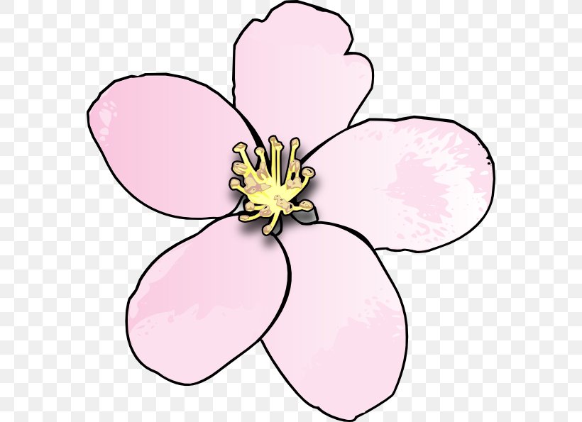 Cherry Blossom Drawing Clip Art, PNG, 576x595px, Blossom, Apple, Art, Artwork, Cherry Blossom Download Free