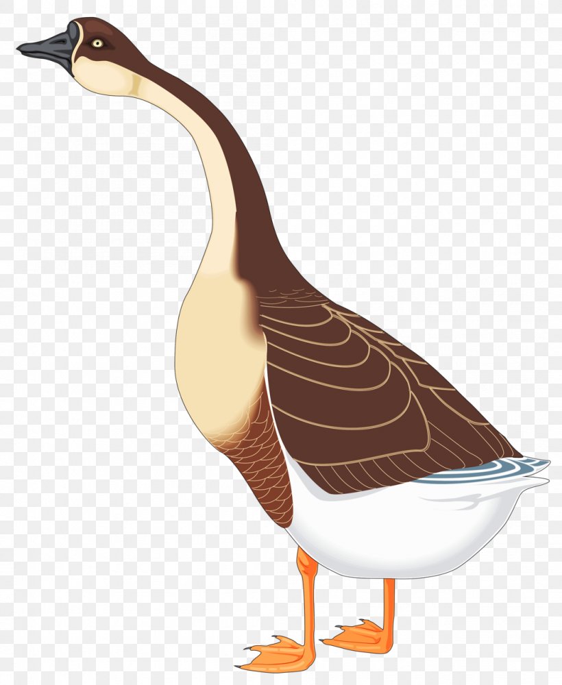 Chinese Goose Bird Duck, PNG, 1049x1280px, Goose, Beak, Bird, Canada Goose, Chinese Goose Download Free